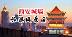 骚屄性奴中国陕西-西安城墙旅游风景区
